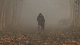 Kirli Hava Egzersizin Faydalarını Siliyor