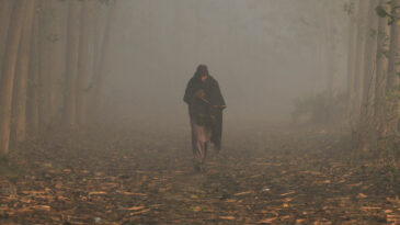 Kirli Hava Egzersizin Faydalarını Siliyor