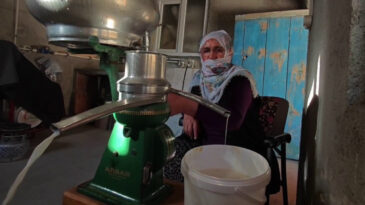 Kış Aylarında Doğal Antibiyotik: Kilosu 500 Liradan Satılıyor