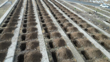 Kışa Hazırlık: Erzurum'da 500 Mezar Kazıldı