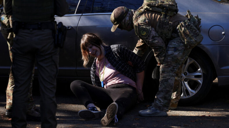 Kitlesel sınır dışı operasyonu: Onlarca göçmen gözaltına alındı