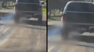 K&ouml;peği aracın arkasına bağlayan canilere g&ouml;zaltı