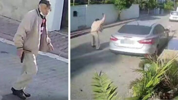 K&ouml;pek &Ouml;ld&uuml;ren Emekli Polis İ&ccedil;in Yakalama Kararı