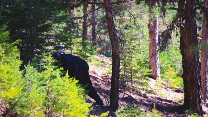 Köylüler Hasada Başladı, Kilosu 500 TL