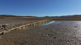 Kuraklık Tarihi Köprüyü Gün Yüzüne Çıkardı