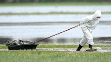 Kuş Gribi Krizi: 2 Milyon Hayvan İtlaf Edildi