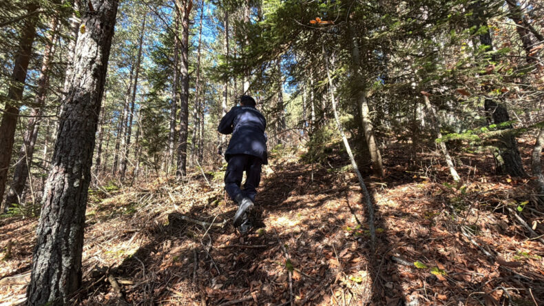 Mantar Toplama Esnasında Kaybolan Yaşlı Adam Hayatını Kaybetti