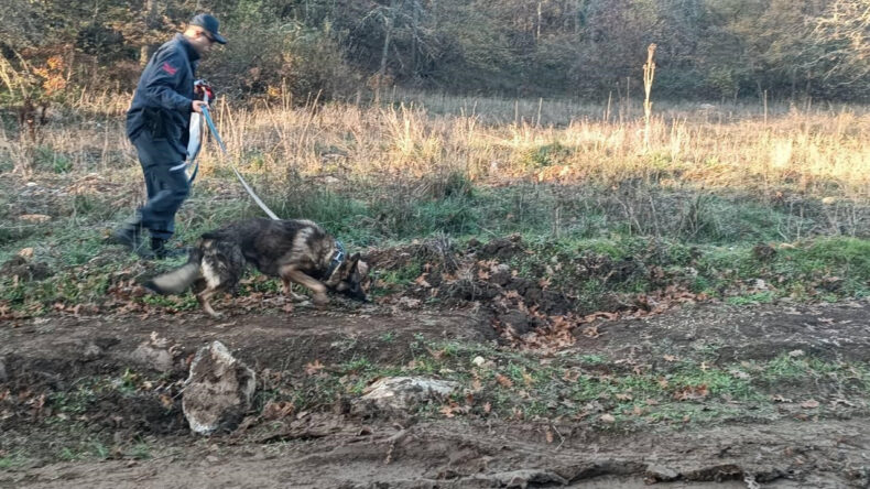 Mantar toplamaya gitti, gelmedi: Son mesajı 'rahatsızlandım' oldu