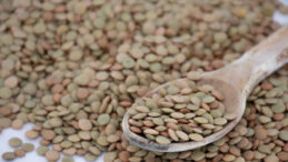 Mercimek ve Yulaf İthalatında G&uuml;mr&uuml;k Vergileri İndirildi