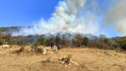 Muğla'da Orman Yangını Çıktı