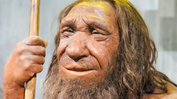 Neandertallerle İlgili &Ccedil;ığır A&ccedil;an Keşif