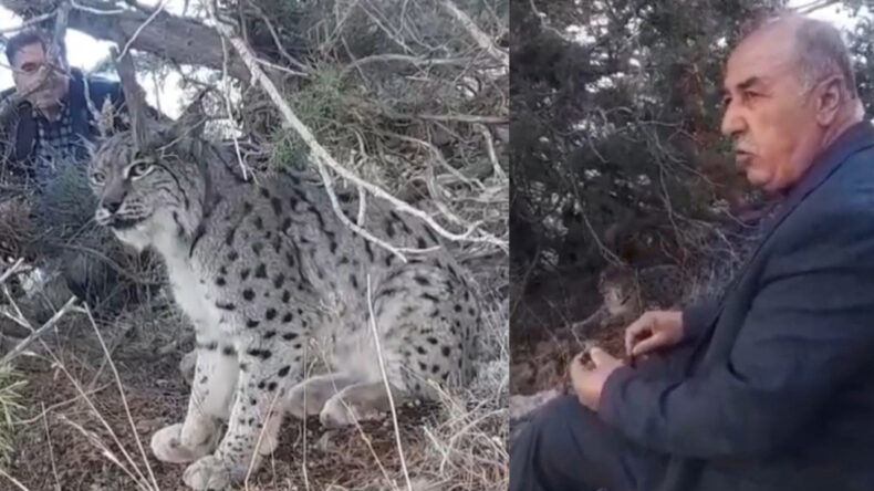 Nesli Tehlike Altında: Vatandaşlar Tarafından G&ouml;r&uuml;nt&uuml;lendi