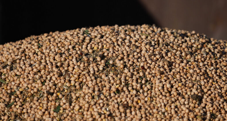 Nohut İthalatında G&ouml;zetim Uygulaması Sonlandırıldı