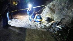 Odun Toplamak İçin Gittiği Kestane Bahçesinde Hayatını Kaybetti