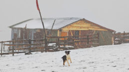 Ordu'da Kar Yağışı Etkili Oldu