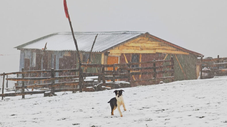 Ordu'da Kar Yağışı Etkili Oldu