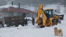 Ordu'da Kar Yağışı Sonrası Yayla Yolları Yeniden Ulaşıma Açıldı