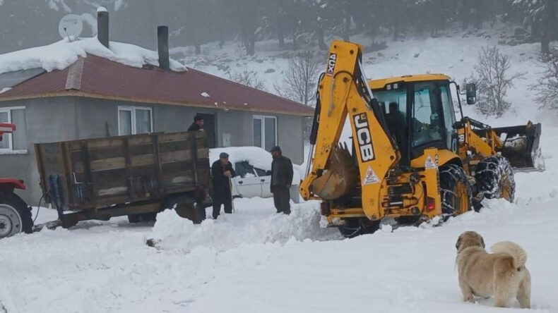 Ordu'da Kar Yağışı Sonrası Yayla Yolları Yeniden Ulaşıma Açıldı