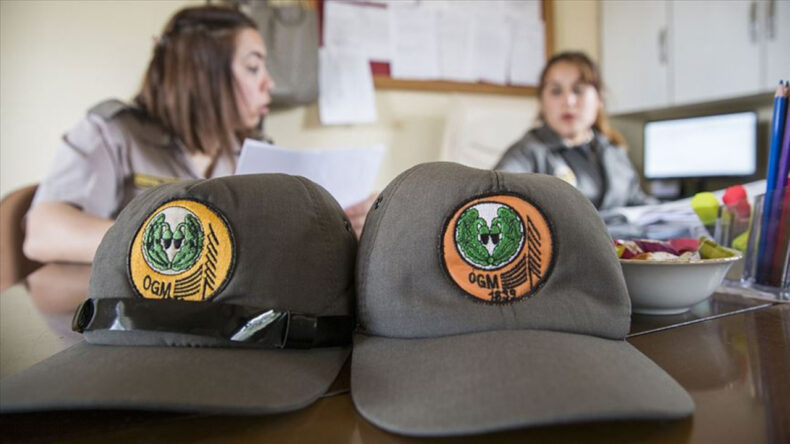 Orman Genel M&uuml;d&uuml;rl&uuml;ğ&uuml; 500'e Yakın Personel Alacak