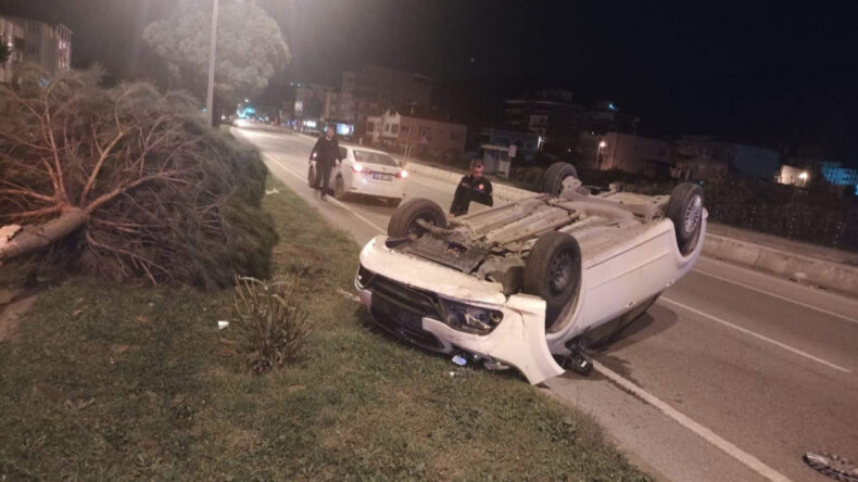Otomobil Ağaçla Çarpıp Takla Attı