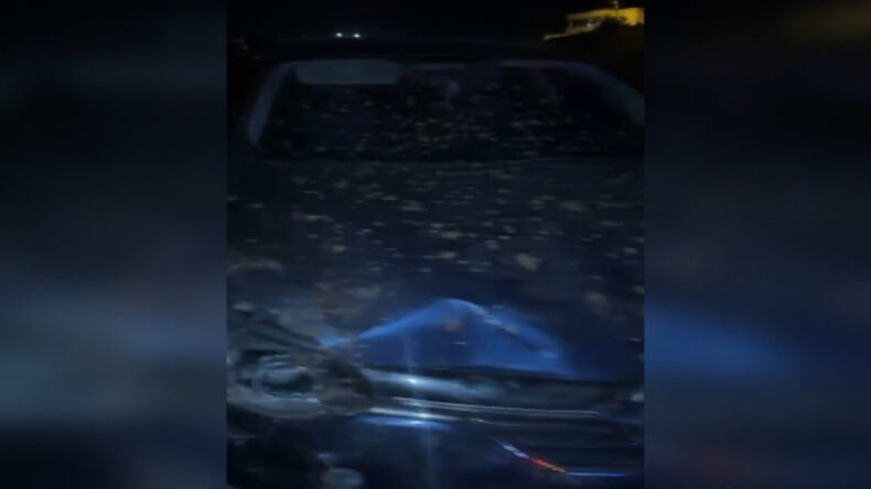 Otomobil Sürüye Çarptı: 7 Koyun Hayatını Kaybetti