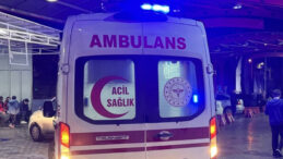 Otomobil S&uuml;r&uuml;y&uuml; &Ccedil;arptı: 8 Koyun Hayatını Kaybetti