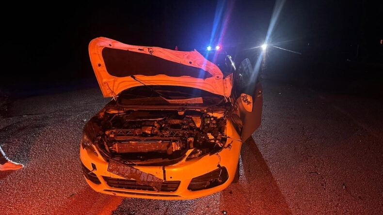 Otomobilin &Ccedil;arptığı Dana Sonucu: 2 Yaralı