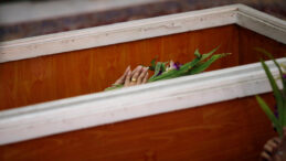 &Ouml;l&uuml; Sanıldı, Tabuttan Canlı Olarak &Ccedil;ıktı