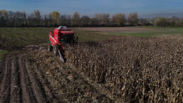 Patates Tarlasına Mısır Ekimi: Umutlar Suyunu Buldu
