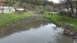 Pirin&ccedil;&ccedil;i Deresi'nde &Ouml;l&uuml; Balık Endişesi