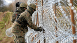 Polonya: Yeniden Sömürge Olmak Yerine Ot Yeriz