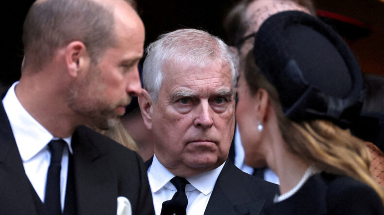 Prens Andrew Emekli Maaşıyla Geçinecek