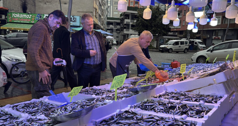 Rize'de Hamsinin Kilogram Fiyatı 50 Lira