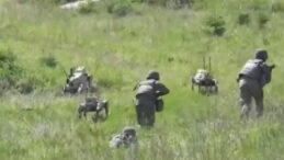 Robot Kurtlarla Askeri Manevra