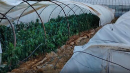 Seralara Hortum Vurdu