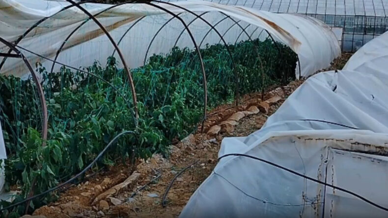 Seralara Hortum Vurdu