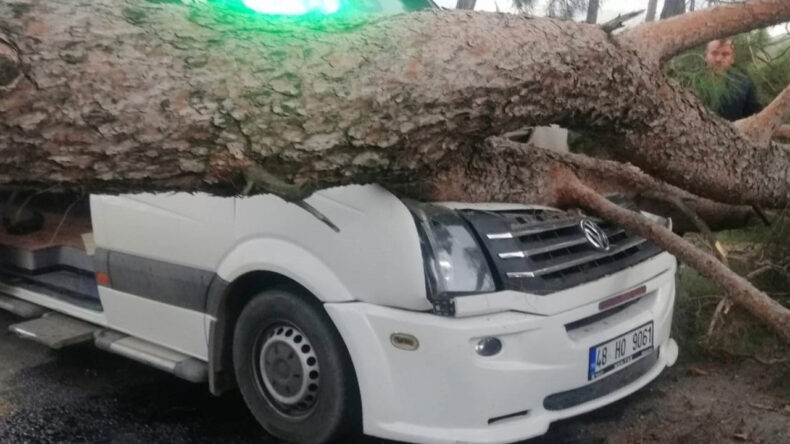 Seyir Halindeki Minib&uuml;se Ağa&ccedil; D&uuml;şt&uuml;