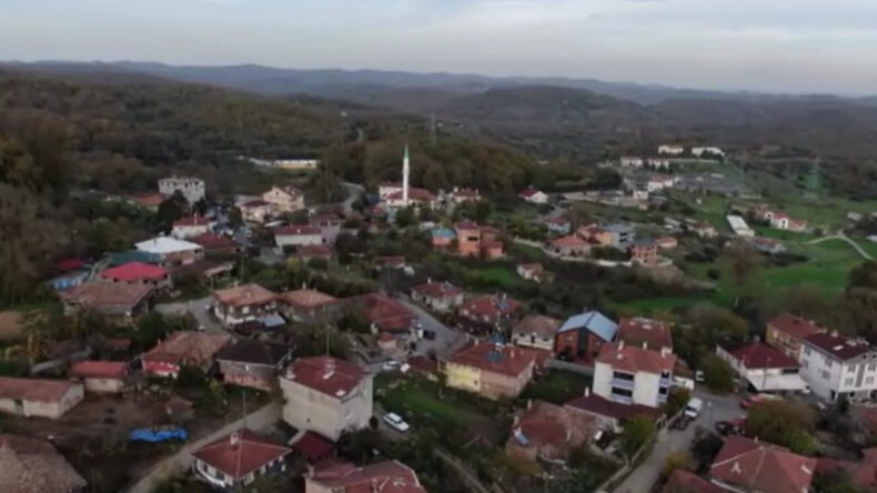 Şile'de Şap Alarmı! Üç Köy Karantinada
