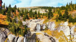 Sis Dağı Yaylası'nda Renk Cümbüşü