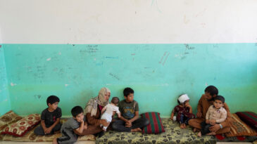 SNHR: SDG, &Ccedil;ocukları Okullardan Ka&ccedil;ırıyor