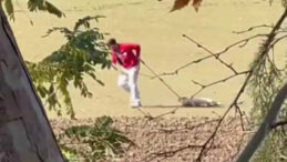 Sokak Köpeğini İple Sürükleyen Kişiye Adli Kontrol