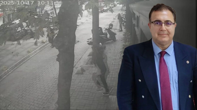 Sokakta Kedileri Besleyen İş İnsanı Saldırıya Uğradı