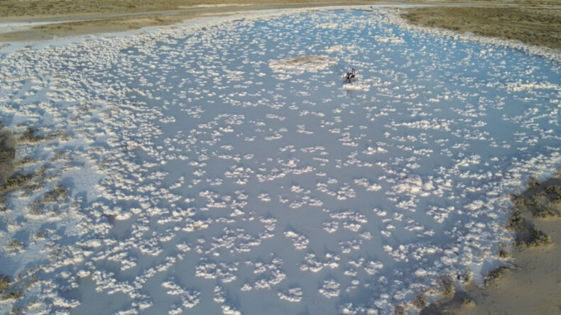 Sosyal Medyada Dikkat &Ccedil;eken G&ouml;r&uuml;nt&uuml;: Fotoğraf Meraklılarının Yeni Noktası