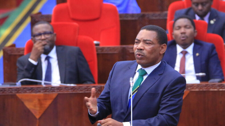 Tanzanya'nın Yeni Başbakanı Belli Oldu