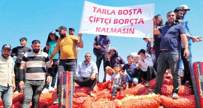 Tarım, Orman ve Hayvancılık Krizi: 2024'te Çiftçi Eylemleri