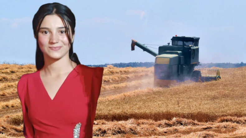 Tarlada Çalıştırılan 16 Yaşındaki Kız Biçerdöverin Altında Can Verdi