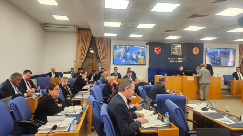 TBMM Plan ve Bütçe Komisyonu'nda 'Kebap' Tartışması