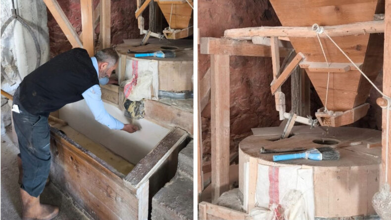 Tek başına ayakta tutuyor: Ben bakmasam bu da atıl durumda olur