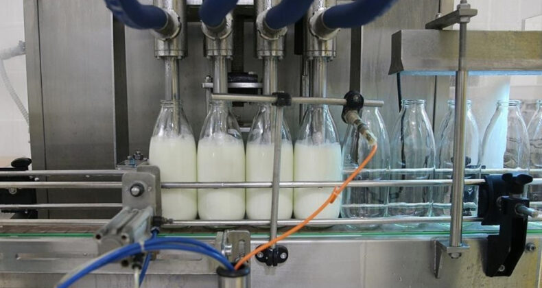 TİGEM 74,6 Bin Ton İnek Sütü Satışı Yapacak