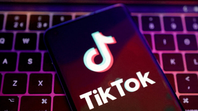 TikTok'ta Askerleri Övdü, Kaçırılıp İnfaz Edildi